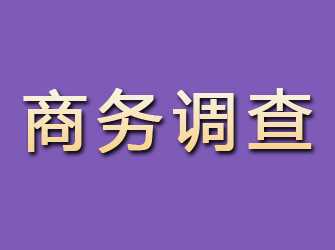 勉县商务调查