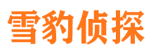 勉县市侦探调查公司